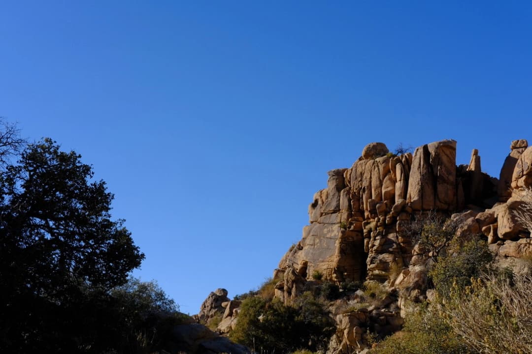 Photo of Joshua Tree Rocks
